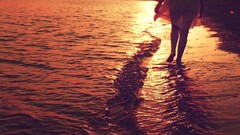 water beach sunset women outdoors legs Women