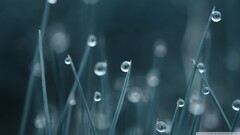 water drops grass bokeh macro