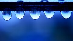 water drops macro blue background liquid water