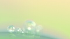 water drops Simple Background blurred