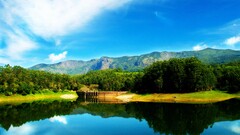 water reflection outdoors nature Trees