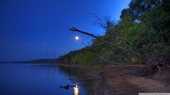 water Sea night moon coast