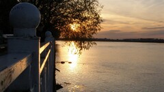 water Trees sunlight