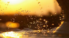 water water drops sunlight bokeh