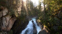 waterfall sun landscape sun rays forest water Trees