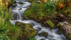 waterfall water Plants landscape nature stream