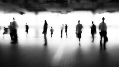 white Celebrity monochrome People