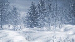 winter artwork snow nature