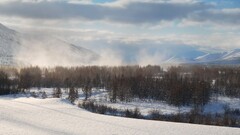 winter forest Mountains mist snow Trees