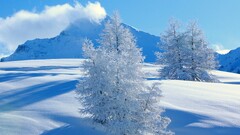 winter Mountains nature
