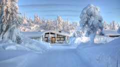 winter nature landscape snow Trees hut