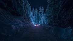 winter night nature forest snow path Car vehicle dark cold