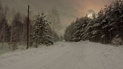 winter road snow cold Trees outdoors