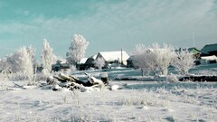 winter Russia snow House Trees