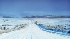 winter snow horizon depth of field road path landscape sign