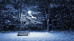 winter snow lantern cold Trees Christmas bench Park