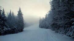 winter snow nature landscape
