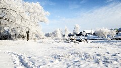 winter snow Russia Trees clouds