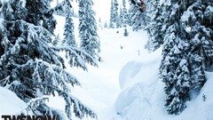 winter snow snowboard Sport Trees