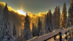 winter snow sunlight