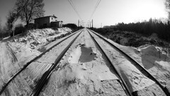 winter tracks railway snow black white cold sun Trees horizon