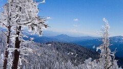 winter Trees Mountains nature