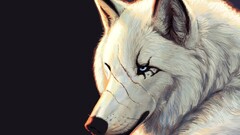 wolf fantasy art artwork Animals scars