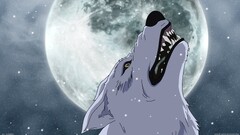 wolf Manga Anime