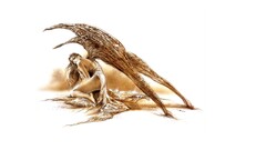 Women wings luis royo fantasy art