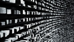 Wood monochrome texture