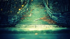 Wood wooden surface Bridge fall