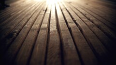 Wood wooden surface timber closeup texture