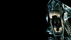 xenomorph alien queen horror science fiction Alien (Creature)